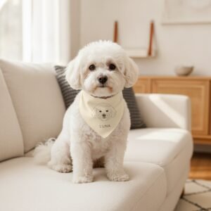 Bandana — Bichon Frisé