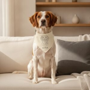 Bandana — Epagneul Breton