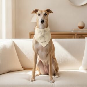 Bandana — Galgo