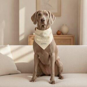 Bandana — Weimaraner