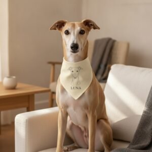 Bandana — Whippet