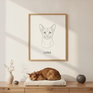 Poster 50×70 — Gato Abissínio