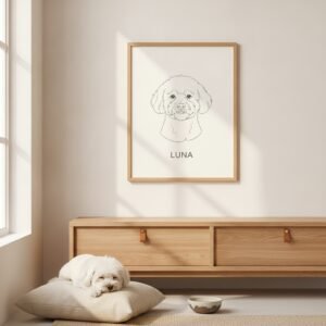 Poster 50×70 — Bichon Frisé