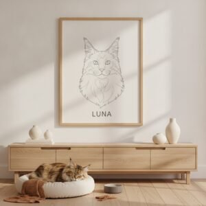 Poster 50×70 — Maine Coon