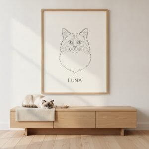 Poster 50×70 — Ragdoll